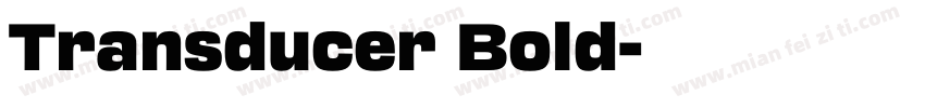 Transducer Bold字体转换